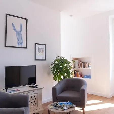 Le Saint-etienne Moderne Et Lumineux 公寓